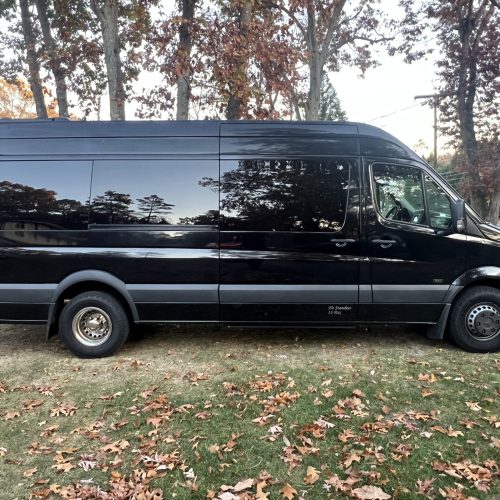 Side view of a black Sprinter van parked on grass with autumn leaves.